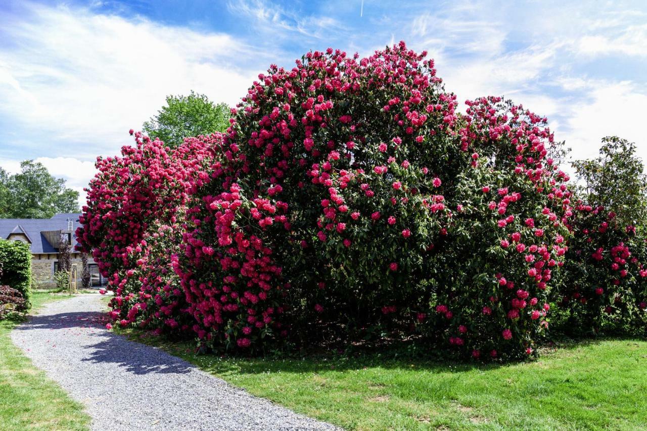 Maillen Domaine De Ronchinne - Maison Du Jardinier المظهر الخارجي الصورة